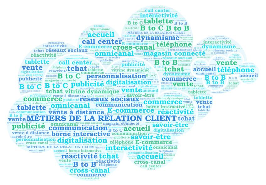 Métiers De La Relation Client – Economie Et Gestion En LP