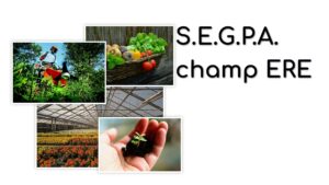 SEGPA Champ ERE